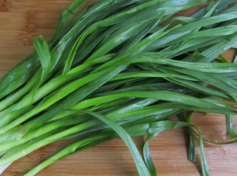 转告家里人这2种蔬菜发芽后吃,营养价值会翻倍,别白白浪费了