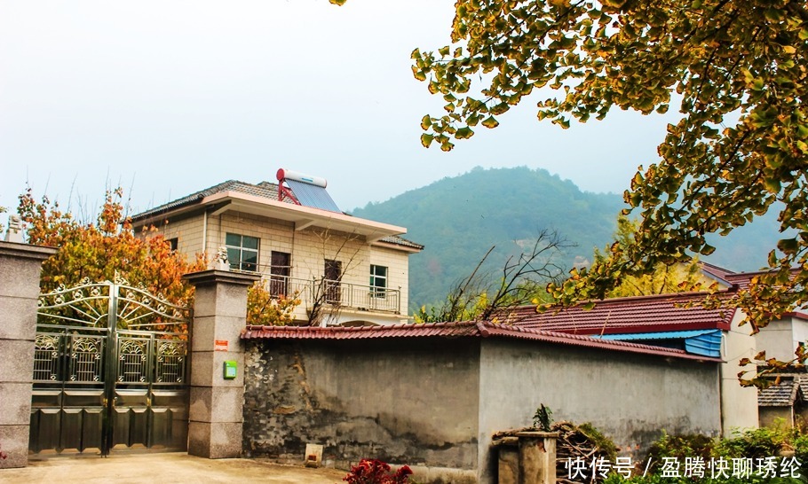 柿子|长兴有一个美丽的小山村，它的名字叫石岕口，仿佛静谧的山水画般