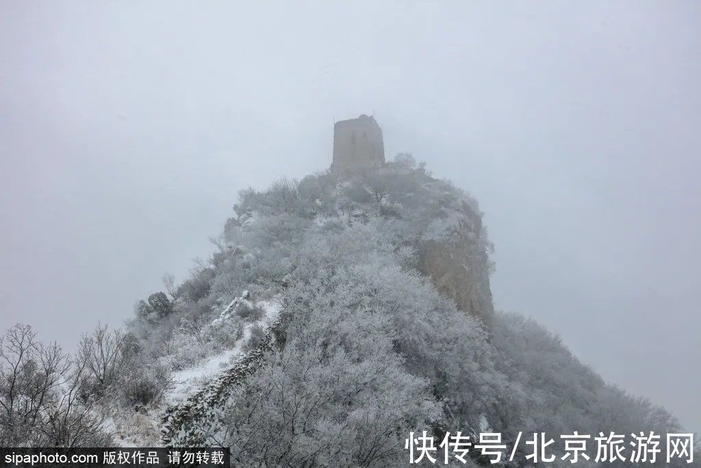 小雪|节气小雪丨天寒地冻，北京这里桃花却开了！（文末有福利）