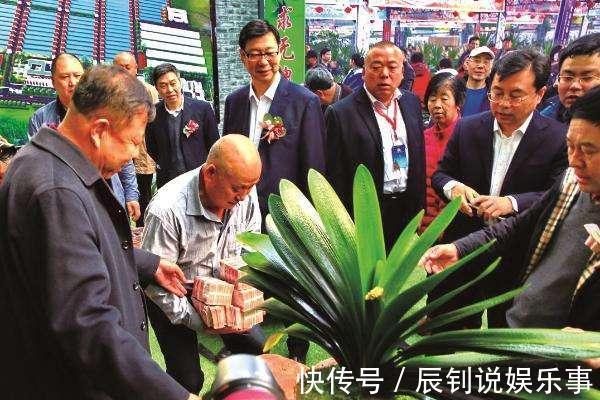 7种“富贵花”,客厅养一盆很合适,越养越值钱,能活一百年