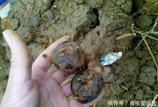 立冬后,咳嗽痰多好不了,教大家一招,轻松止咳化痰,药物不用抓