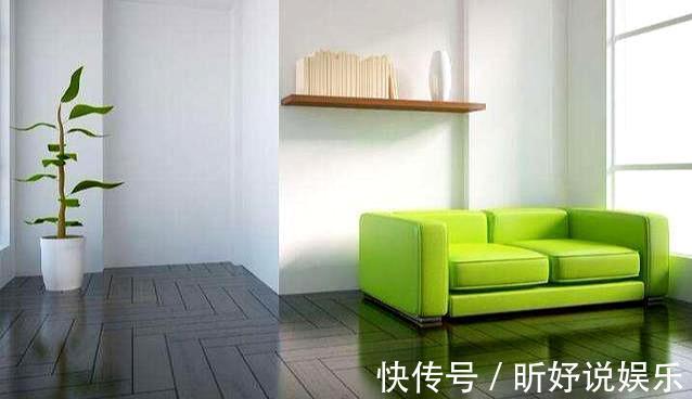 绿植|家装甲醛污染怎么办3个小办法,还你一个清新美宅