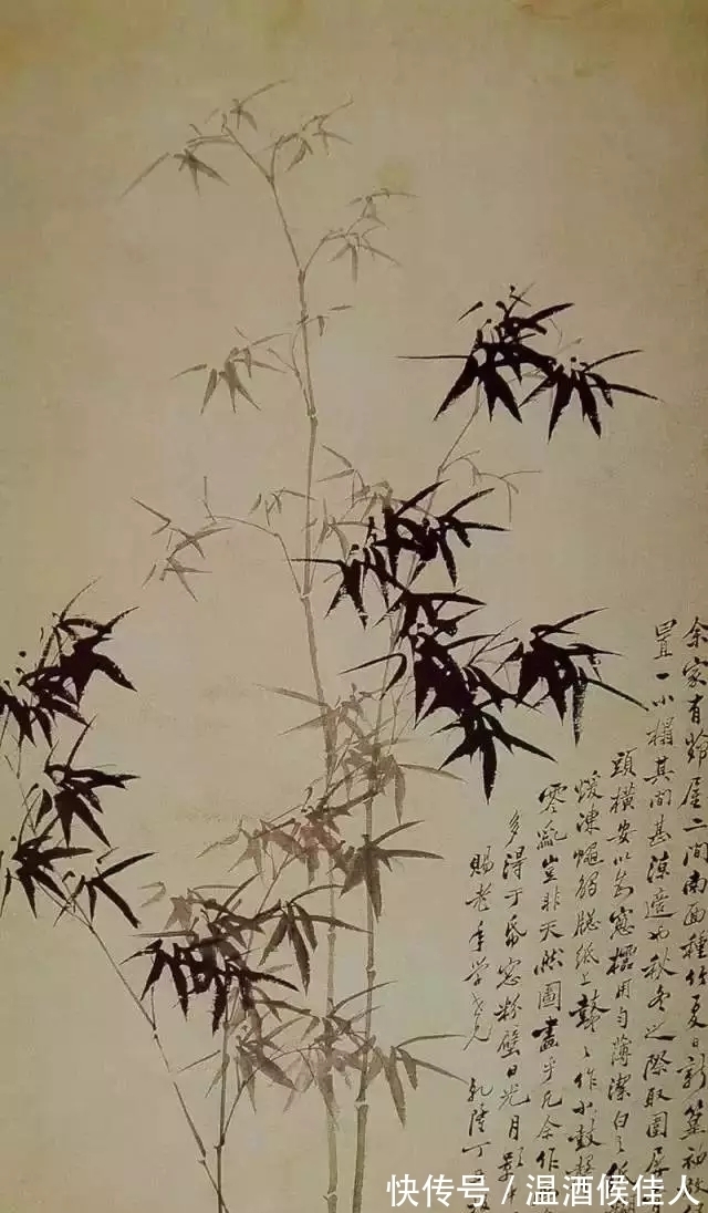 郑板桥$花鸟画｜飘逸俊朗！郑板桥画竹精选