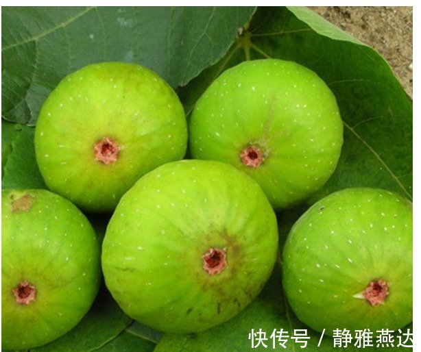 淋巴肉瘤|不妨常食此果！保护心脑血管、防癌、抗炎消肿，远离疾病