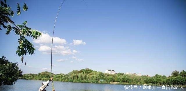 力气|失手绳如何遛鱼?这3个技巧缺一不可,学会老钓友都佩服你!