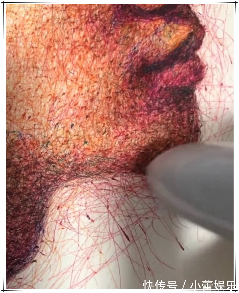 笔画@2块钱圆珠笔能画出什么美术生乱线画黄家驹,成画至少200块