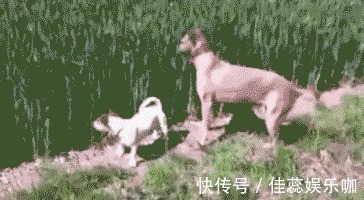 |「搞笑GIF」这是什么情况，知道现在的男孩子为什么不找女生玩了