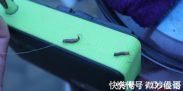 钓位|不怕小鱼的蚯蚓挂法,无倒刺鱼钩适用,秋冬野钓上鱼更多!