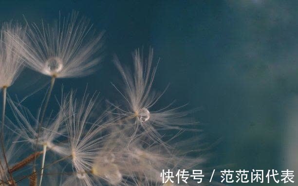 真爱|2天后，存款翻番，勇者无畏，主动求和，顺利翻身，有真爱