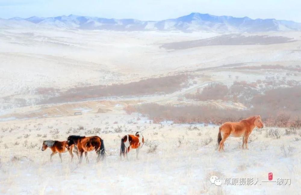 阿鲁科尔沁的冬季，美成了一首风花雪月的诗！