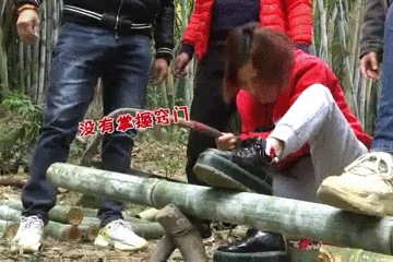 美食｜几位主持人齐齐抬竹子，难道要改行做木工？