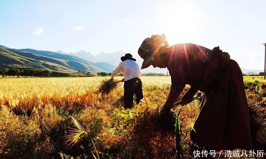 错过甘孜，就错过了中国最美的春天！