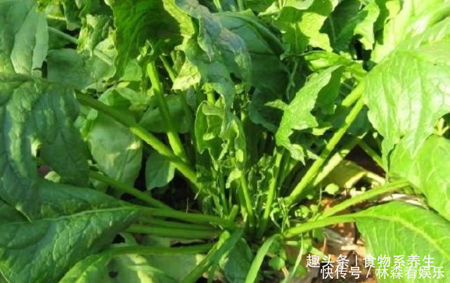 食物|女性来大姨妈时，使劲吃4种食物，或能排出子宫污血，体重悄悄降