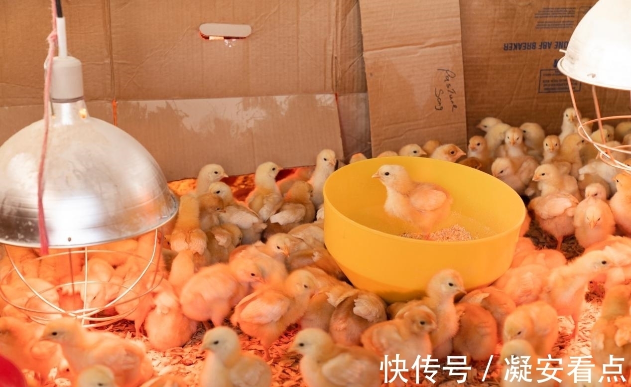 眼轴|近视真的是因为用眼疲劳吗?科学家表示真相另有隐情