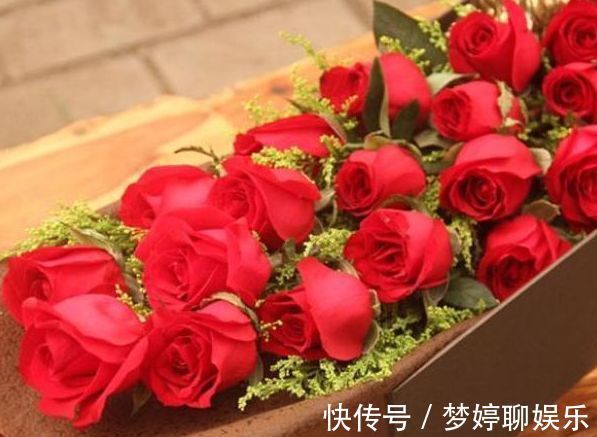 优雅|喜欢菊花,不如试试“珍稀玫瑰”卡罗拉,花色浓艳,优雅美丽