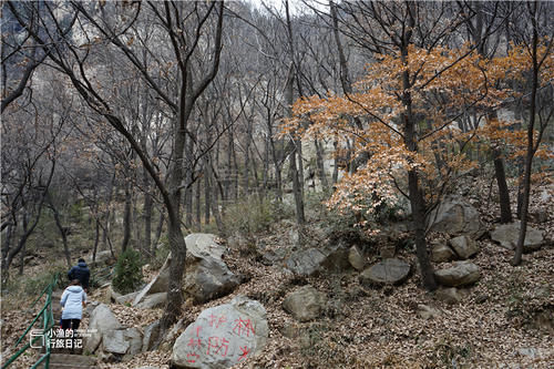 西安|西安秦岭深山古寺，从山门到大殿要走1小时，收藏绝美风景