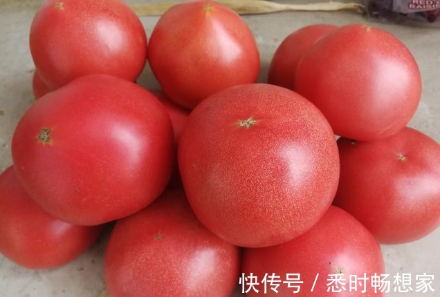 西红柿|怎么辨别出打了“激素”的西红柿看一个部位轻松避开，别买错了