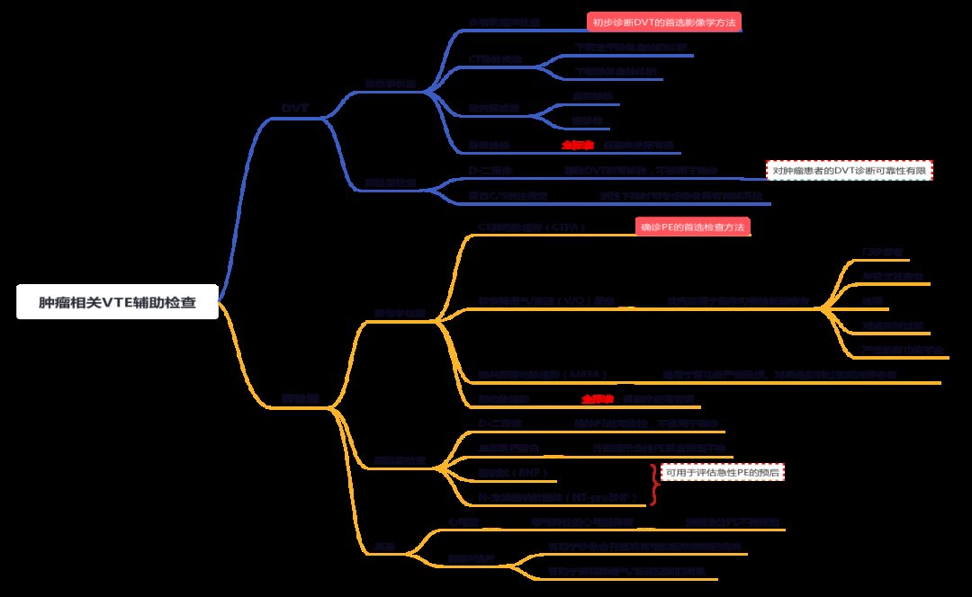思维导图|巧用思维导图，轻松get血栓知识