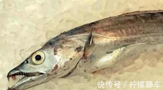 油炸带鱼|买带鱼,黑眼睛和黄眼睛区别大;牢记3买2不买,带鱼鲜嫩又解馋