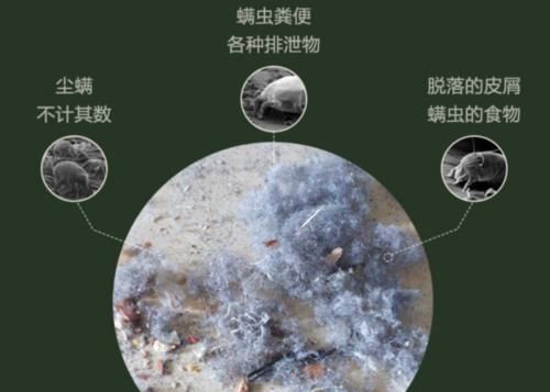 床铺上有螨虫怎么办？简单实用的除螨小妙招分享