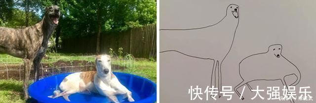 杰伊#他因画画水平“太烂”,反而成为网红,把巨石强森画成一块石头