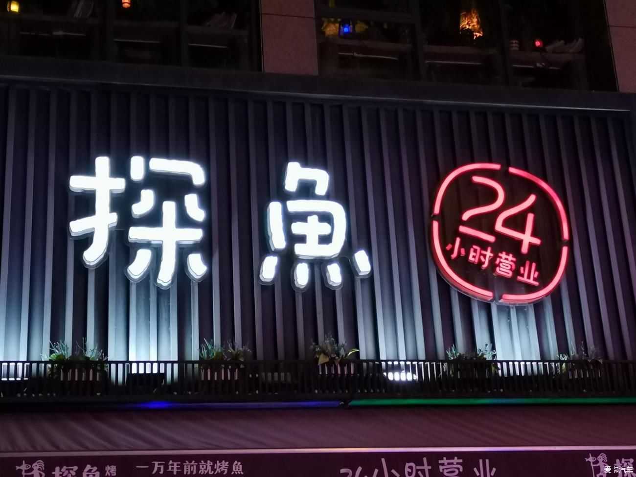 一万年前吃烤鱼一万年后吃探鱼