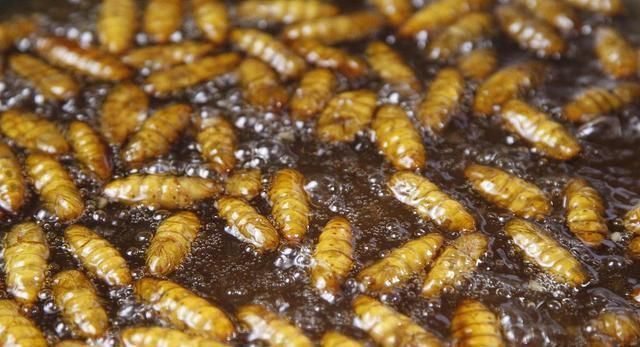 日本人懒于运动,寿命却位居世界第一?长寿秘籍在于“一个字”