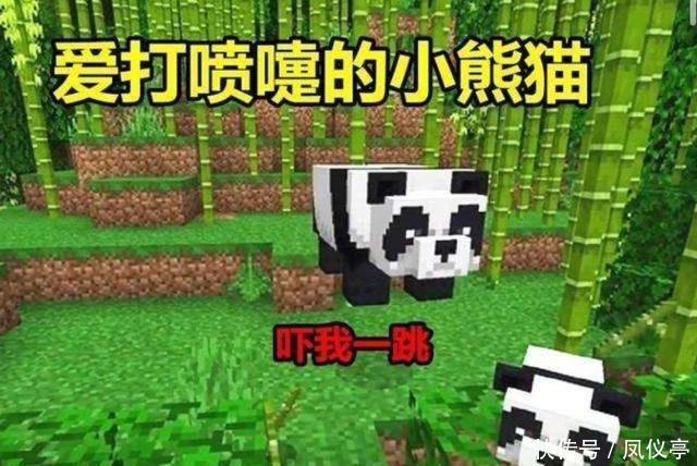 玩家|我的世界：史蒂夫还能成为“僵尸之王”？“冷知识”连老玩家都坑