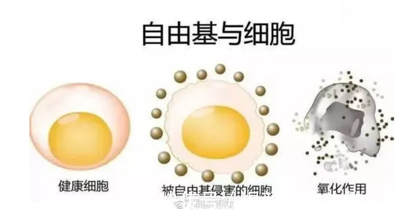 皮肤|记录护肤冷知识，皮肤越黑越容易晒黑