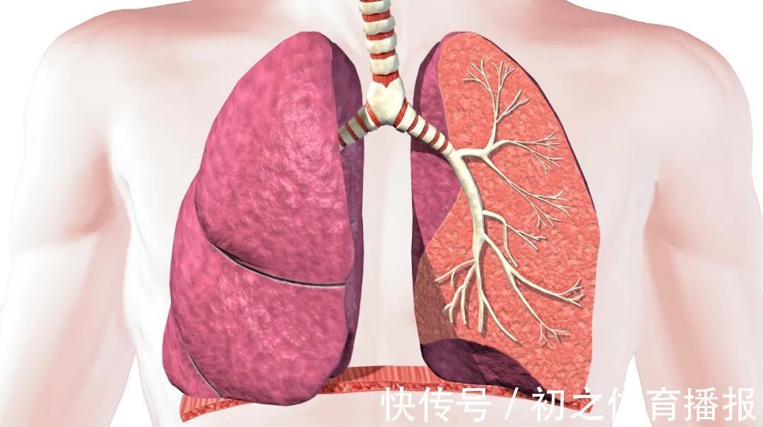 十二时辰|半夜3点醒,肝不好,5点醒,肺不好!四招远离失眠,一觉到天亮!