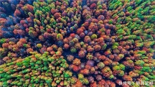 冬日|精品自驾路书在画里穿行,在云中漫步!自驾畅游“皖南318”川藏线