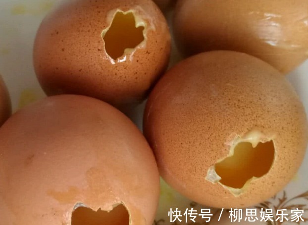 叶片|养大花蕙兰，盆里来点“壳”，花多、叶片绿，一开就是大半年
