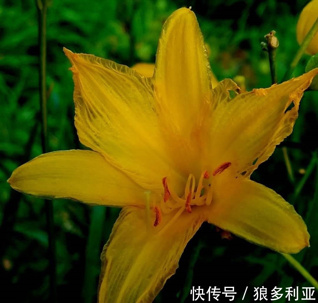 旧爱|20天后,忘记过往,容颜易老,旧爱不舍,新欢到来,你走吧