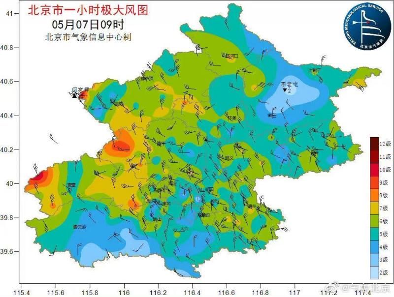 綱舉目張 什麼才是針對性仇恨北美亞裔的根源 中國熱點