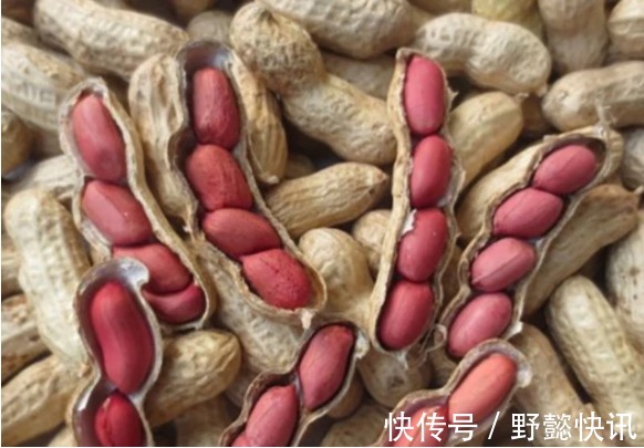 零食|孕期不能贪吃准妈别担心,其实有些零食可以吃点,对自身也好