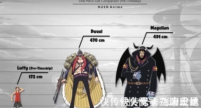 路飞|海贼王身高对比图,海王类以5000米称霸,路飞身高不及白胡子膝盖