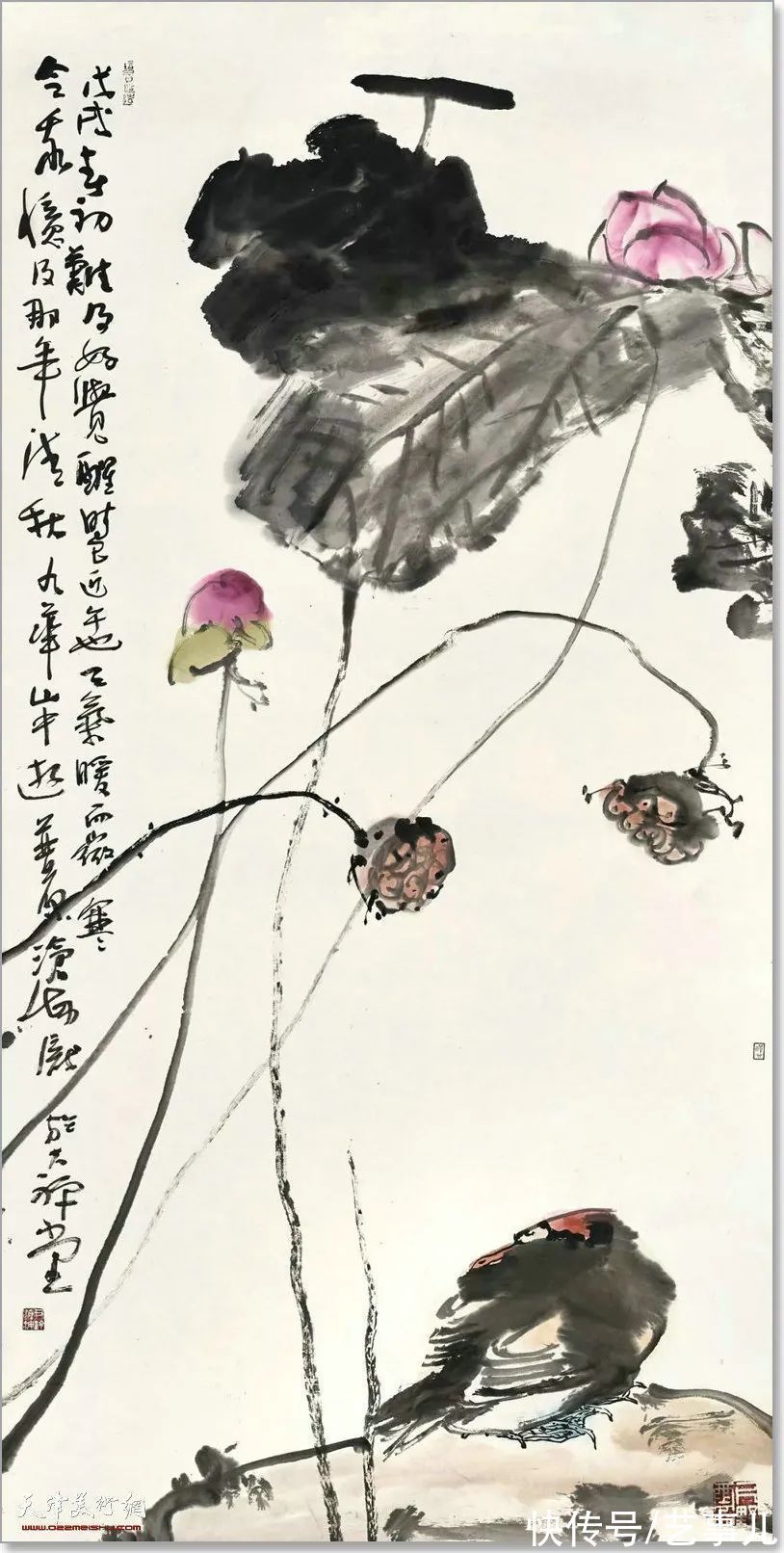 库尔勒!尹沧海教授荷花水禽作品欣赏:笔意简率自由 一派天趣自成