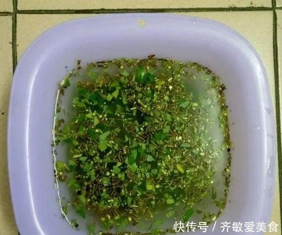 枝条|生根剂不用买,用家家都有的“小东西”,2分钟就能制出来