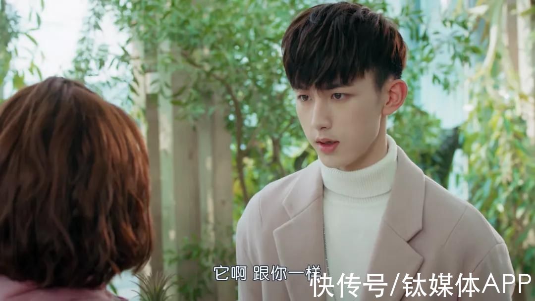 影視這座礦，綜藝還能挖到什么？