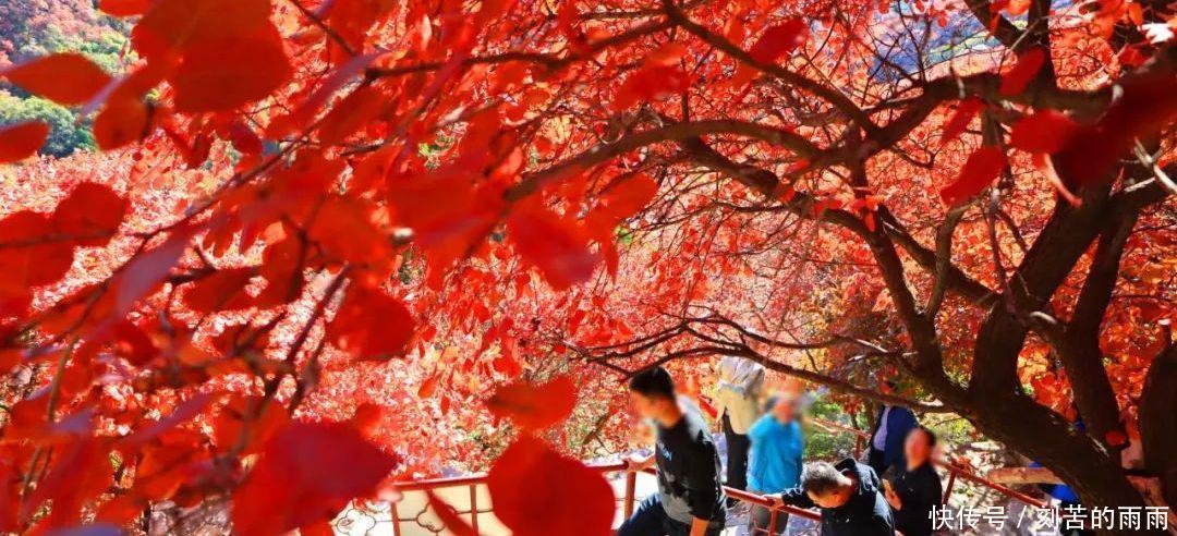 这是不是神仙居住的地方实在是太美了！