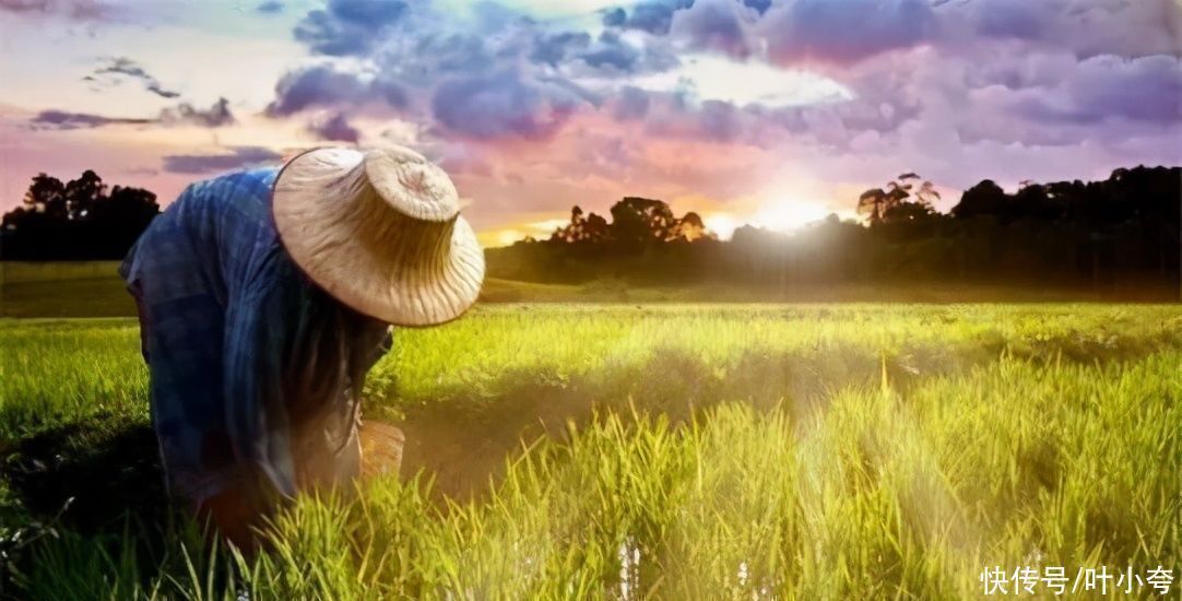 行业|在农村的时候,曾经非常火爆的这三种行业,现在很少有人再去接触