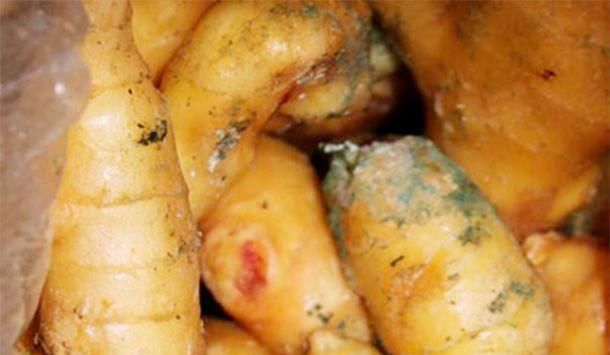 常吃生姜“养生长寿”,6大好处不请自来,但有一种生姜千万别吃