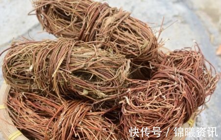 蒲公英|枸杞三斤不如此物1钱,不仅平肝火,还能补脾虚,堪比“养肝王”