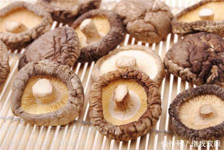 没事|尿酸的“死对头”已找到,没事喝两口,平衡尿酸,痛风或向你投降