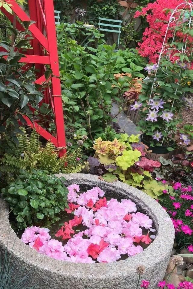 有了30平方的小院,能将日子过成了诗简单而精致,优雅而从容