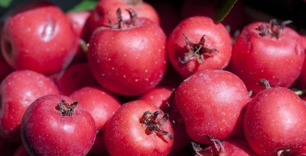 过百想变瘦|体重过百想变瘦,3种碱性食物常吃,助体重悄悄降下来