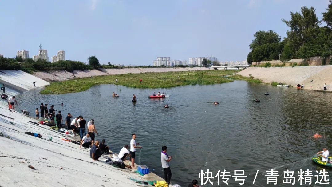 崂山水库开闸放水!一米长的大花鲢随处可见