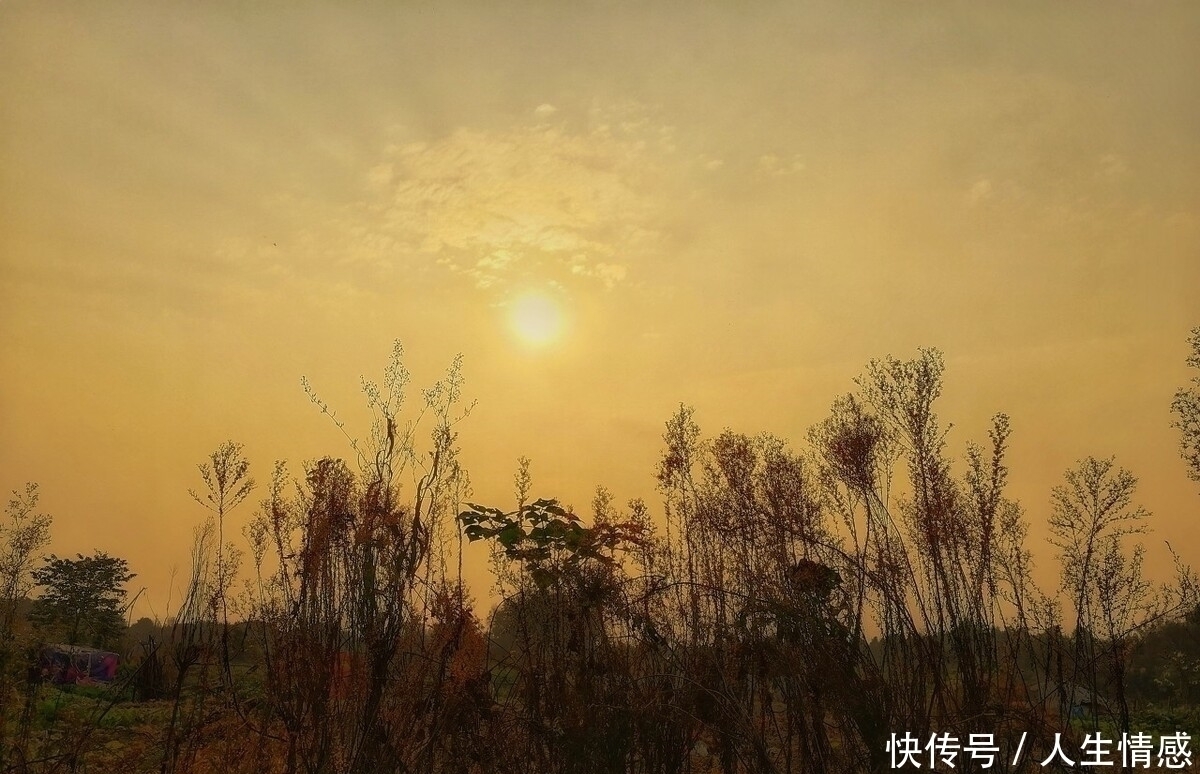 王昌龄$唐代末流诗人张乔的这首诗,短短28字,字字动人,堪称千古绝唱