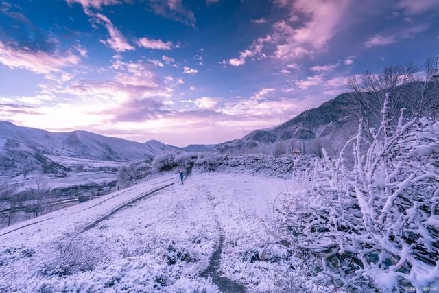 梓桑$咏雪诗词15首:雪落无声一袭新，茫茫世界约天真