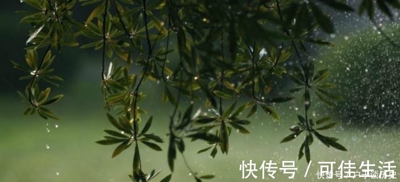 宋诗&苏轼喝醉了酒信手拈来,却是成就一首经典,通篇美得令人惊艳!